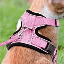 Arnês e trela para gatos para caminhar, arnês de colete ajustável macio à pr