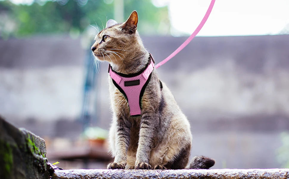 Arnês e trela para gatos para caminhar, arnês de colete ajustável macio à pr