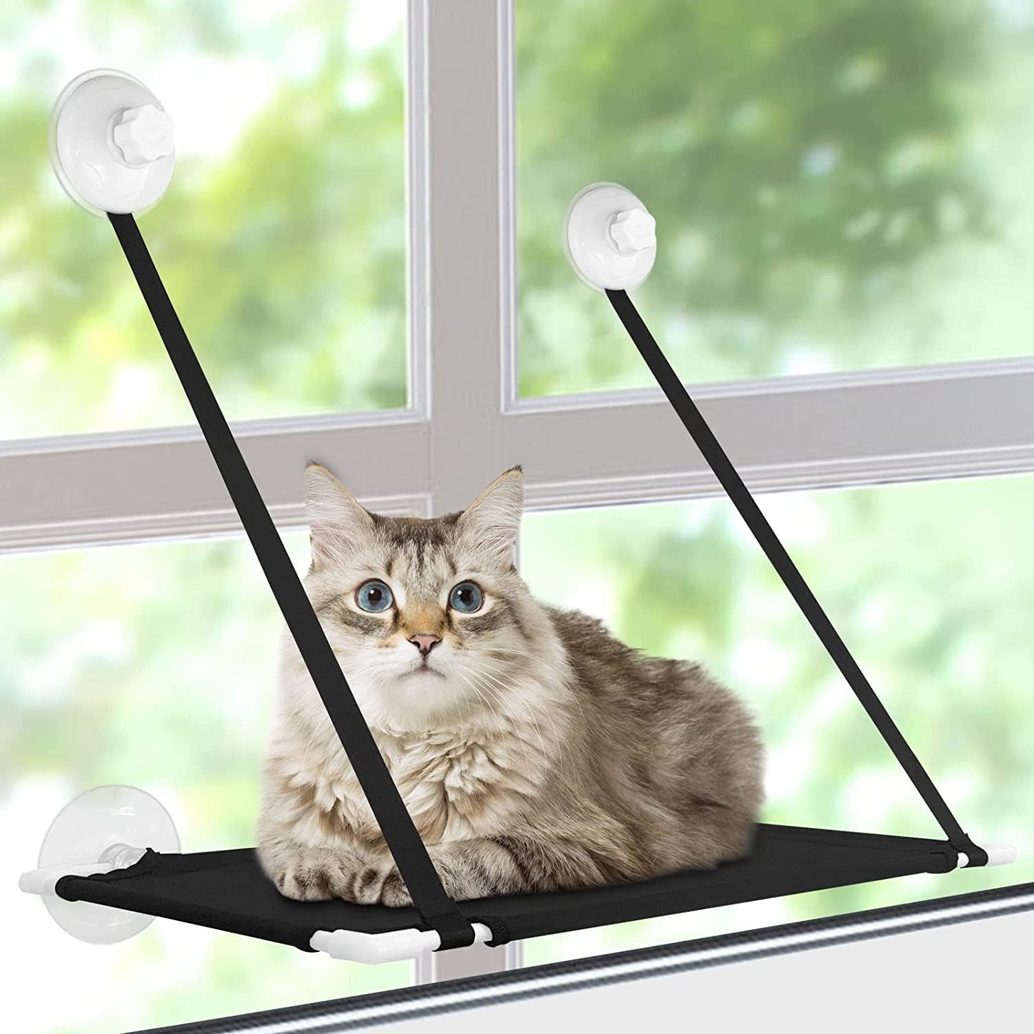 Poleiro de Janela Reforçado com Ventosas e 360° de Banho de Sol para Gatos - Miauverso