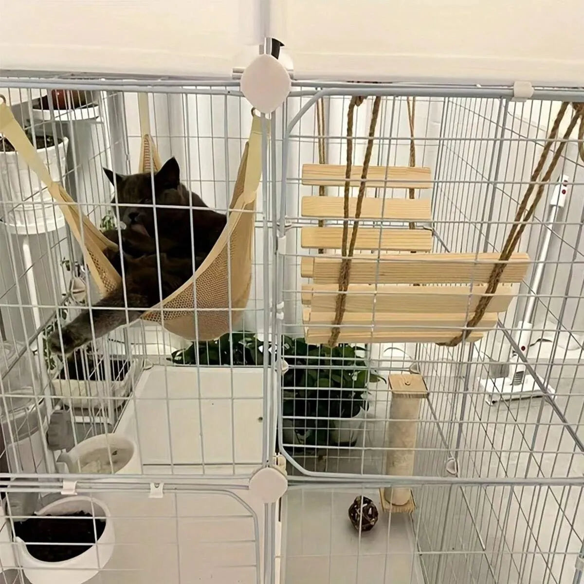 Escada de Escalada em Madeira Natural com Ponte para Gatos - Miauverso