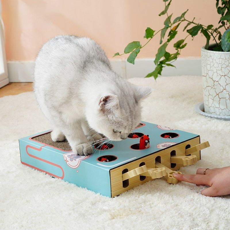 Brinquedo Interativo de Madeira com Placa para Arranhar e Descanso para Gatos - Miauverso