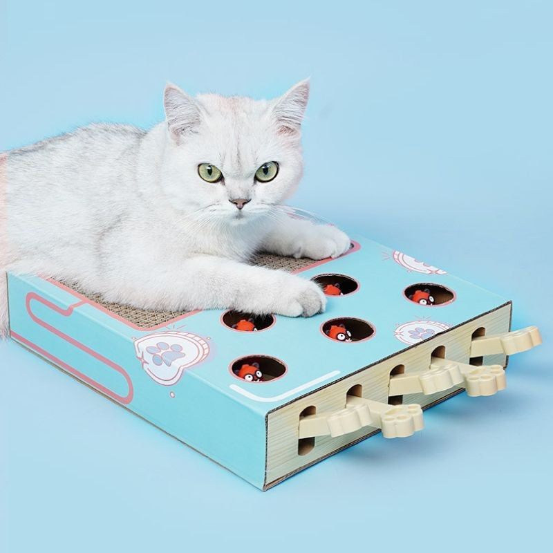 Brinquedo Interativo de Madeira com Placa para Arranhar e Descanso para Gatos - Miauverso