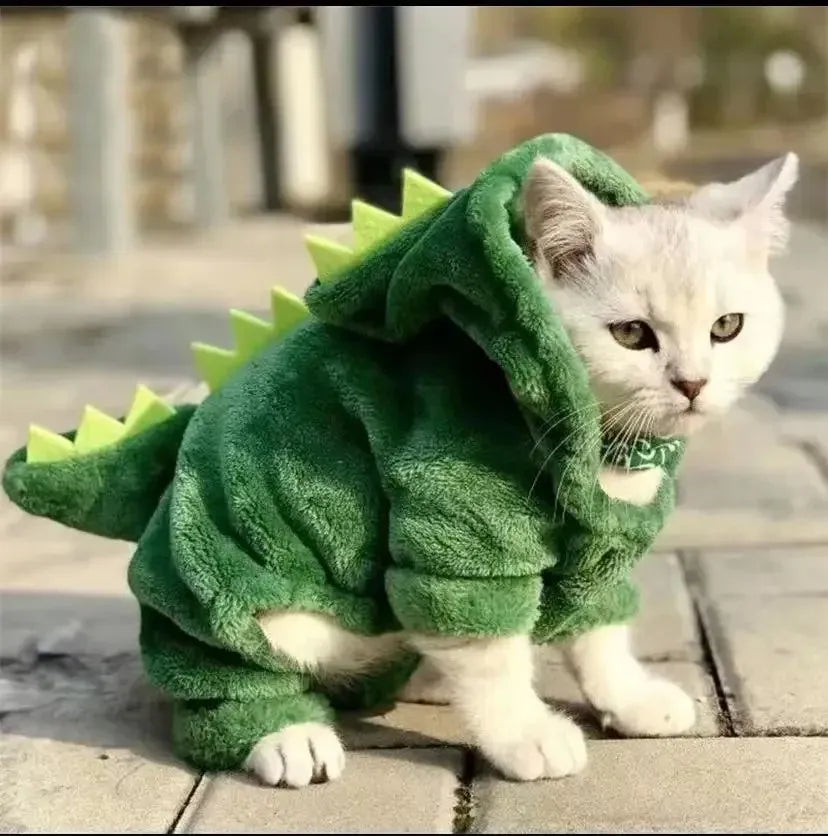 Fantasia Dino Divertido - Miauverso