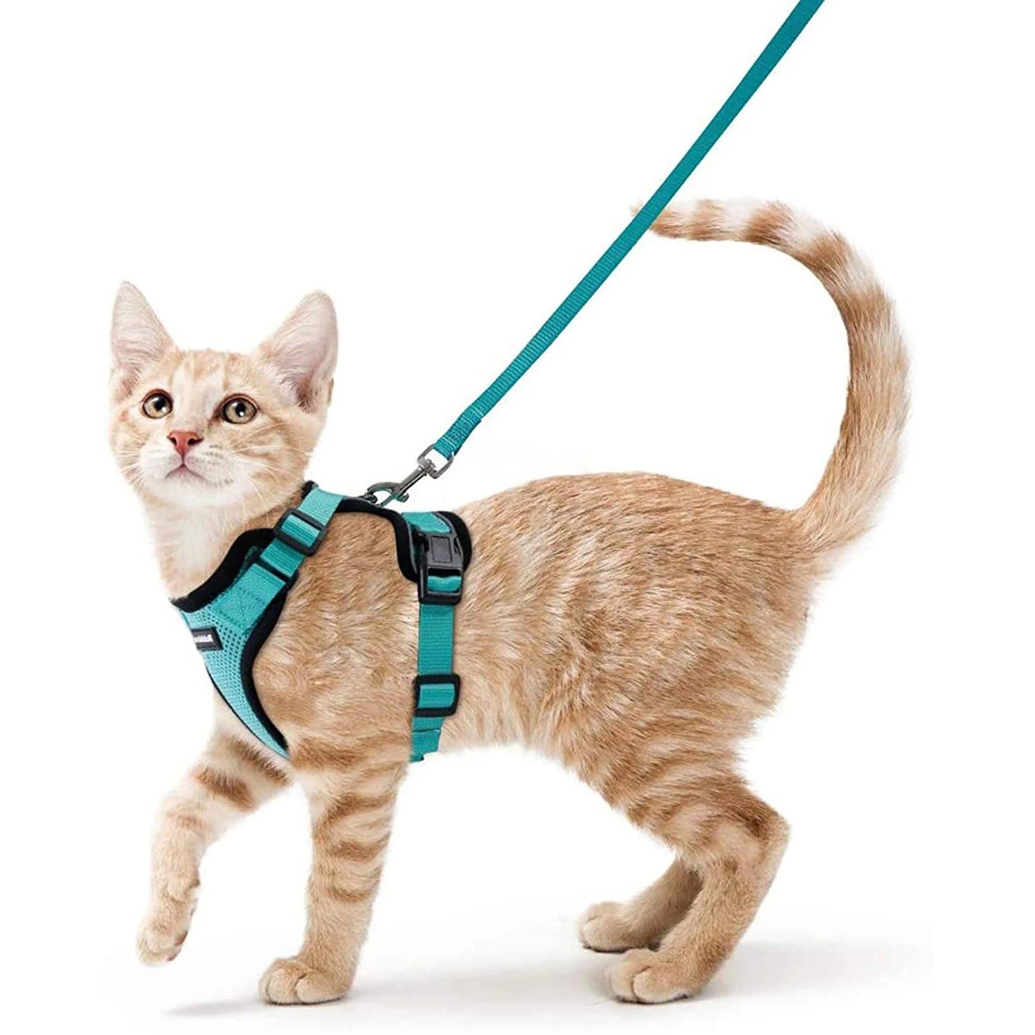 Arnês e trela para gatos para caminhar, arnês de colete ajustável macio à pr