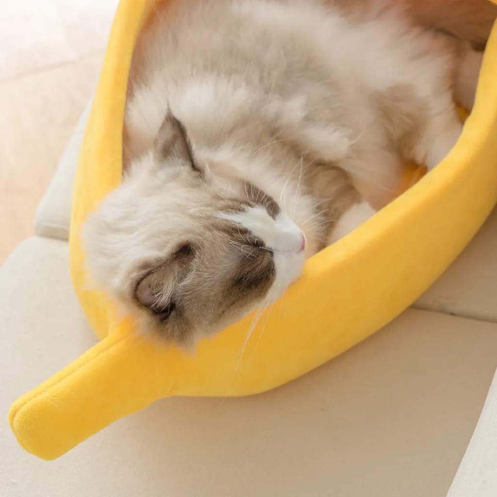 Cama de Gato Banana - Miauverso